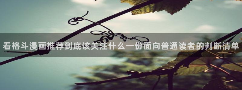 樱花日语词汇：看格斗漫画推荐到底该关注什么一份面向普通读者的判断清单
